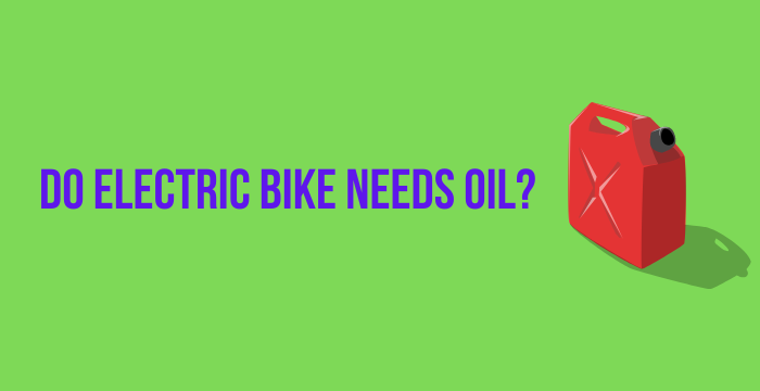 Do Electric Bike Needs Oil