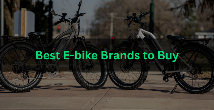 Which Brand Electric Bike Is Best