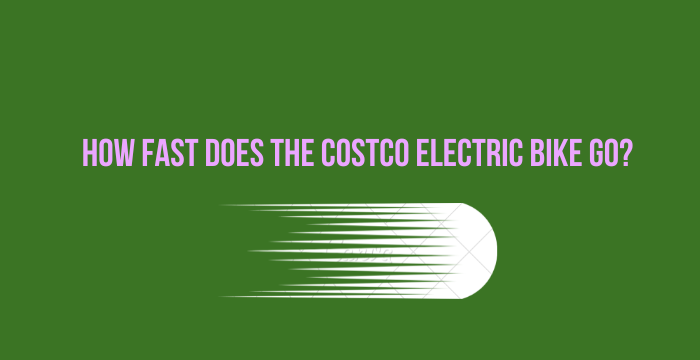 How Fast Does the Costco Electric Bike Go