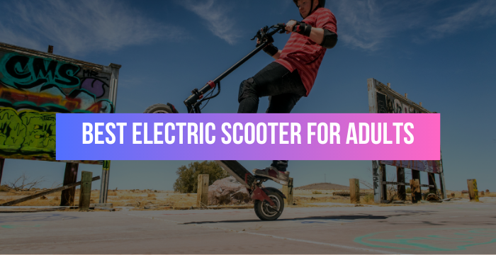 best-electric-scooter-for-adults